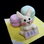 03-60425黃渝宸03