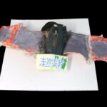 03-60611趙奕翔01
